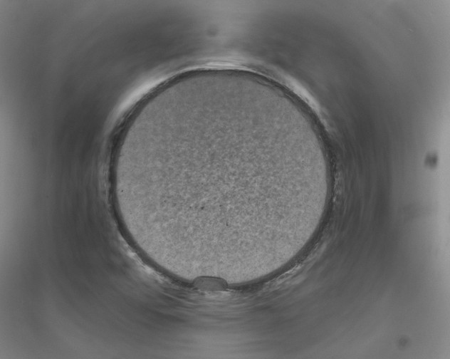 X0000116761456201001281602