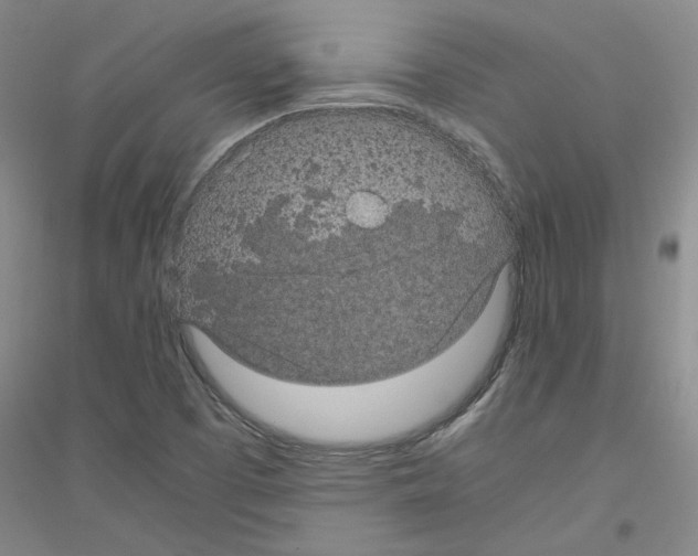 X0000116761457201001281602