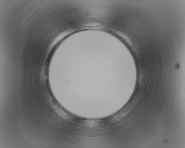 X0000116761458201001281602