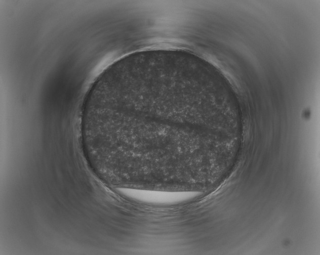 X0000116761459201001281602