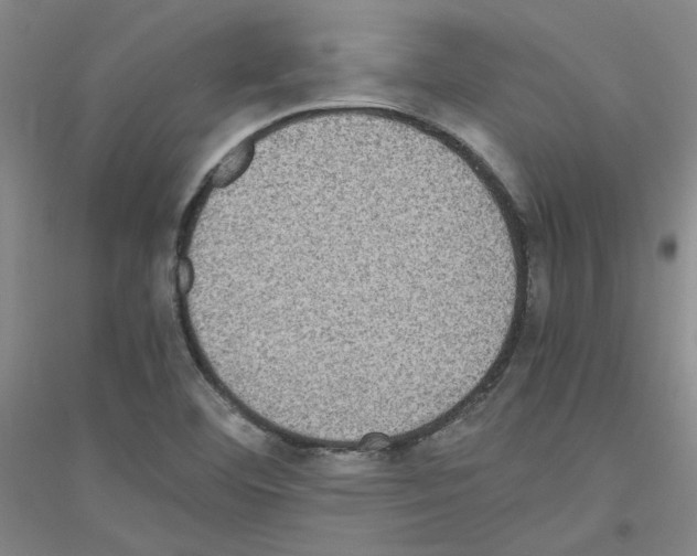 X0000116761460201001281602