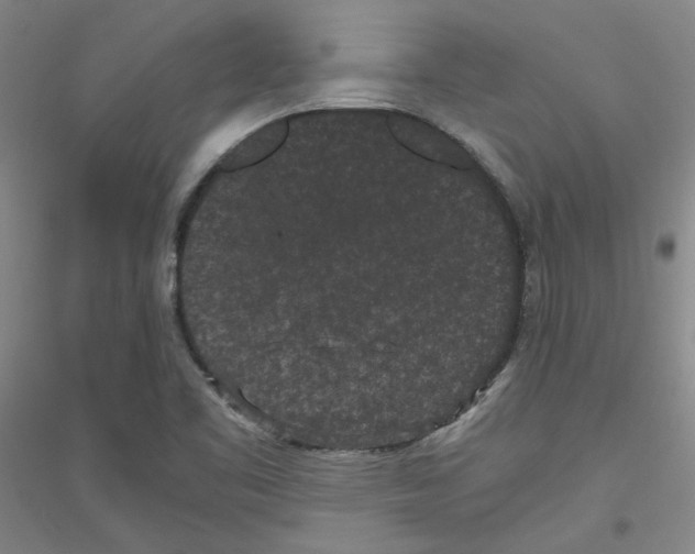 X0000116761461201001281602