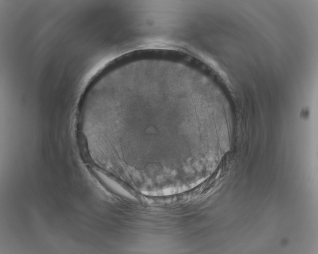 X0000116761463201001281602