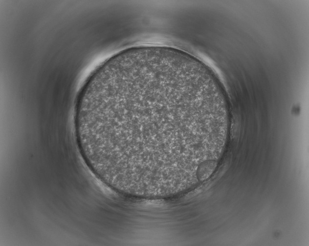 X0000116761464201001281602