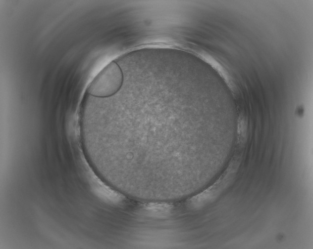 X0000116761466201001281602