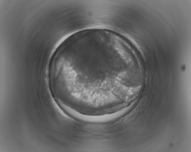 X0000116761468201001281601