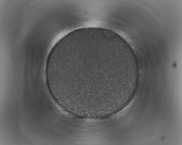 X0000116761469201001281601