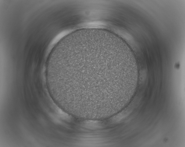 X0000116761470201001281601