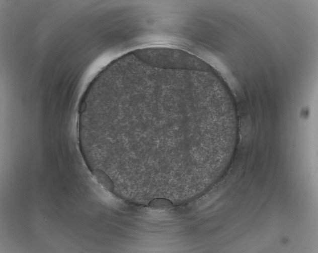 X0000116761472201001281601