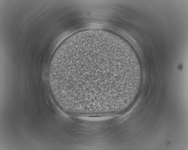 X0000116761473201001281601