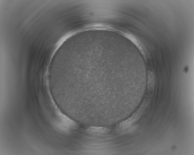 X0000116761474201001281601