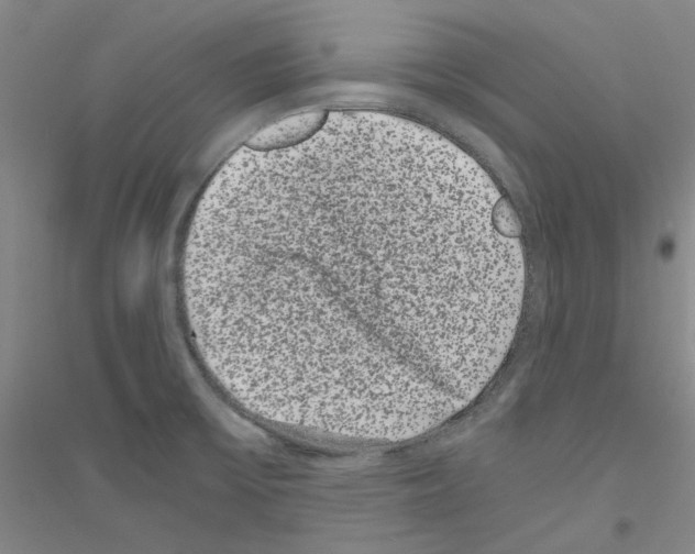 X0000116761475201001281601