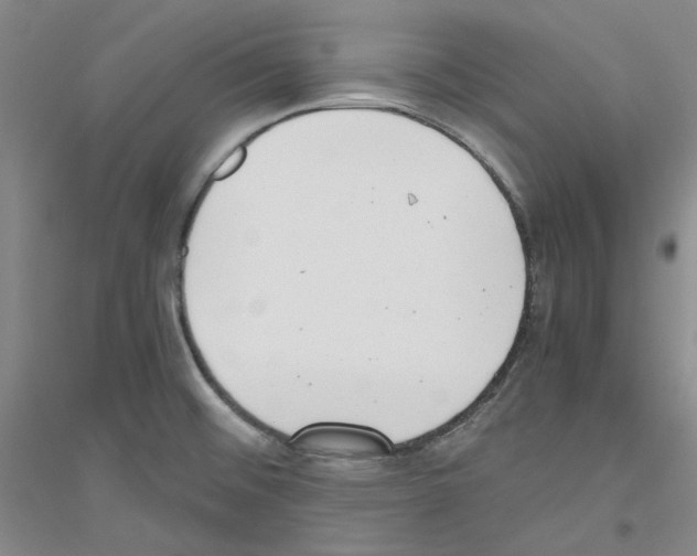 X0000116761476201001281601