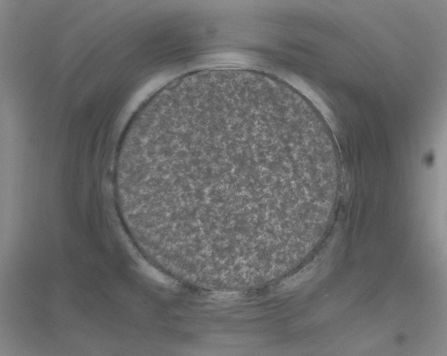 X0000116761477201001281601