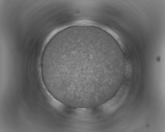 X0000116761478201001281601