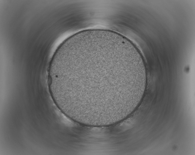 X0000116761480201001281601