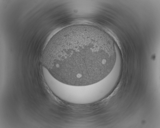 X0000116761481201001281601