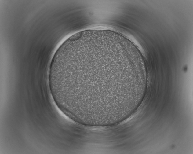 X0000116761484201001281601