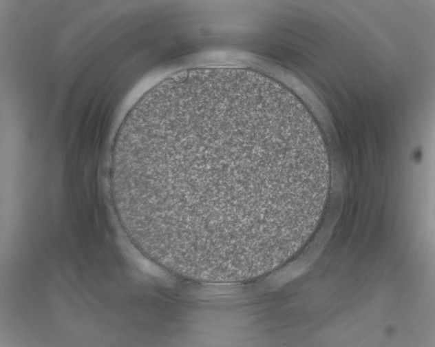 X0000116761486201001281601