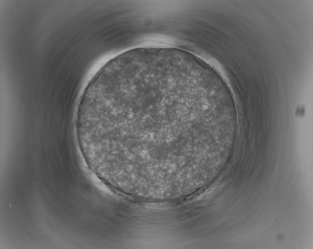 X0000116761488201001281601