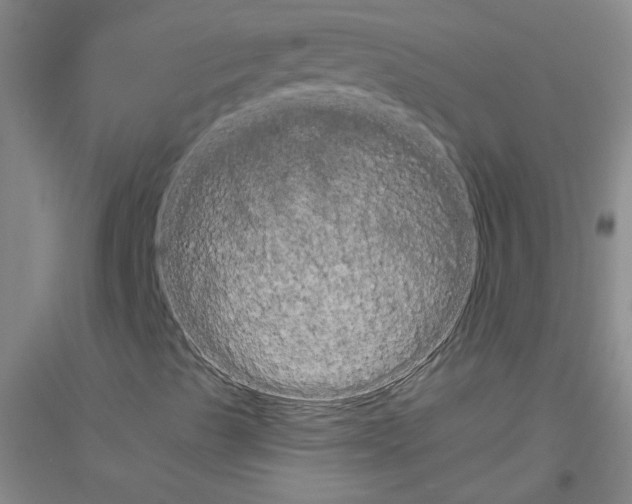 X0000116761489201001281601