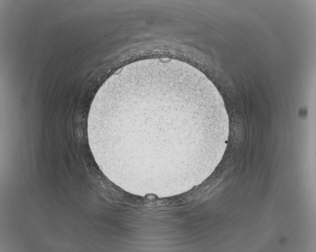 X0000116761490201001281601