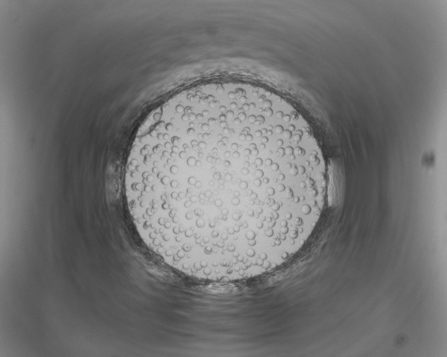 X0000116761491201001281601