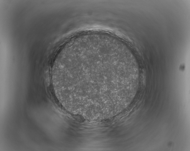 X0000116761493201001281601