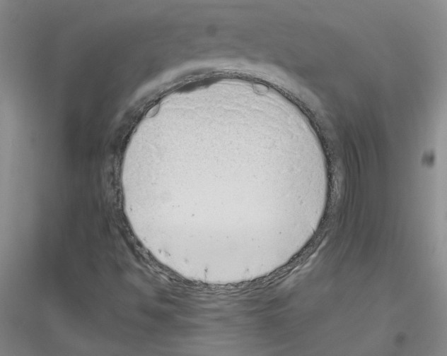 X0000116761494201001281601