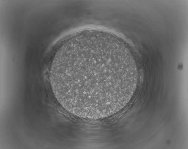 X0000116761495201001281601