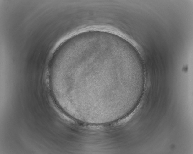 X0000116761498201001281601