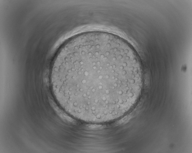 X0000116761499201001281601