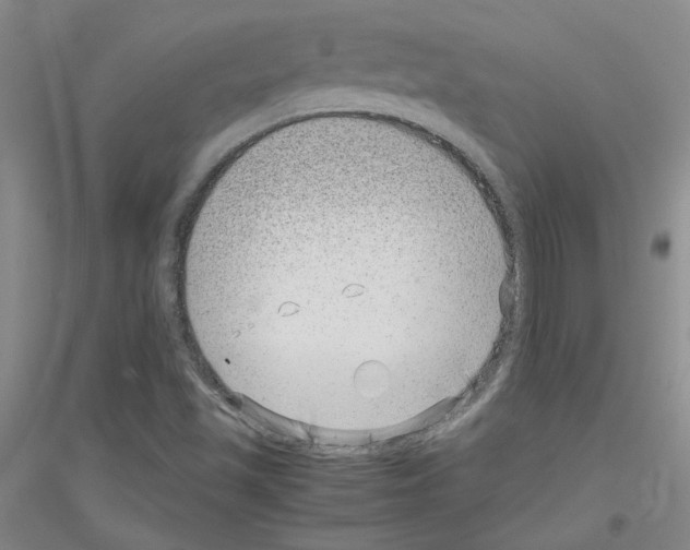 X0000116761501201001281601