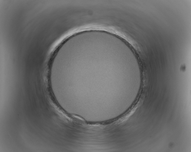 X0000116761502201001281601