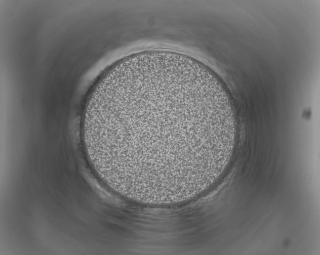 X0000116761503201001281601