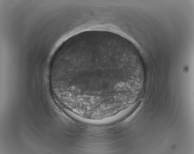 X0000116761506201001281601