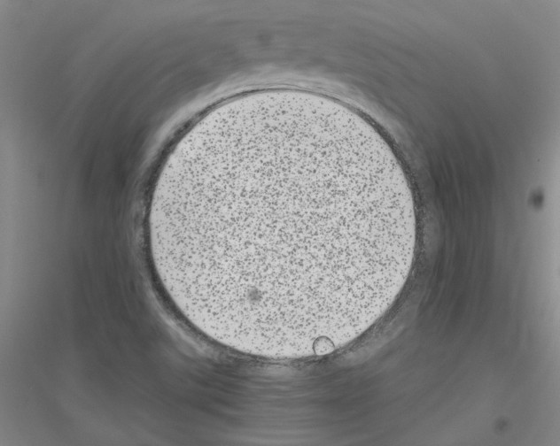 X0000116761507201001281601