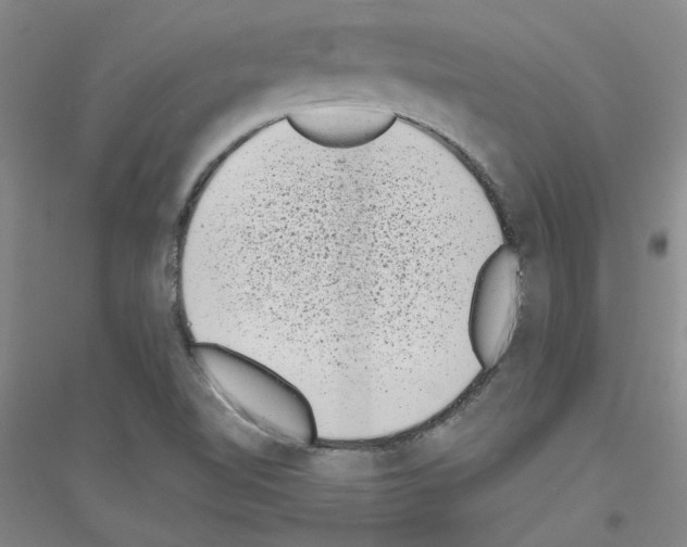 X0000116761510201001281601