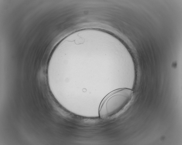 X0000116761513201001281601