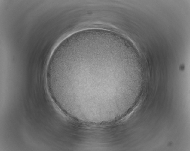 X0000116761514201001281601