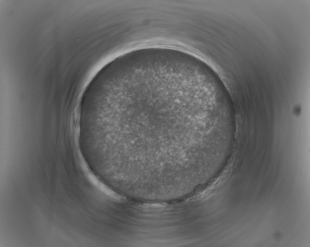 X0000116761515201001281601