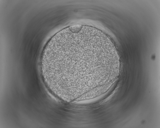 X0000116761517201001281601