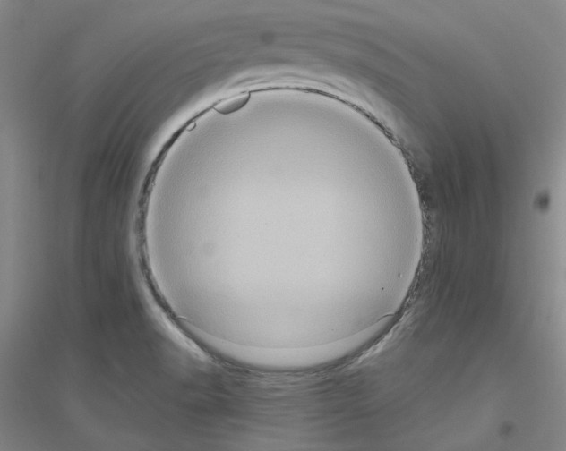 X0000116761518201001281601