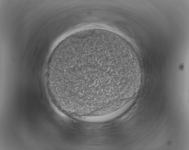 X0000116761519201001281601