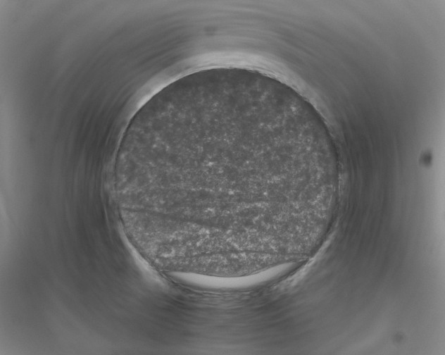 X0000116761521201001281601