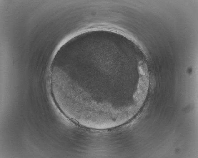 X0000116761522201001281601