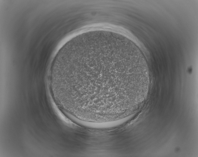 X0000116761523201001281601