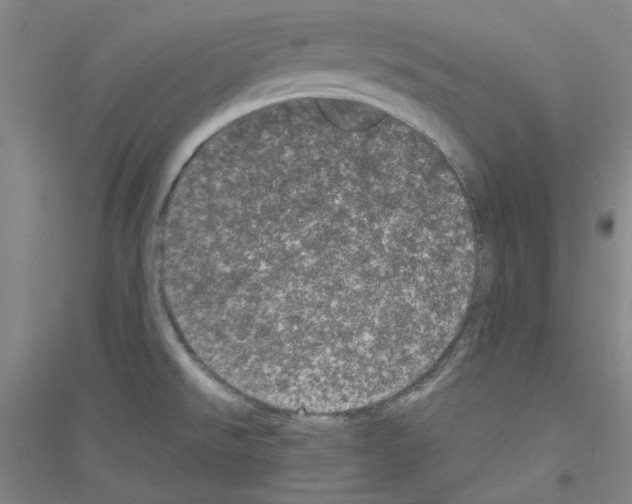 X0000116761526201001281601