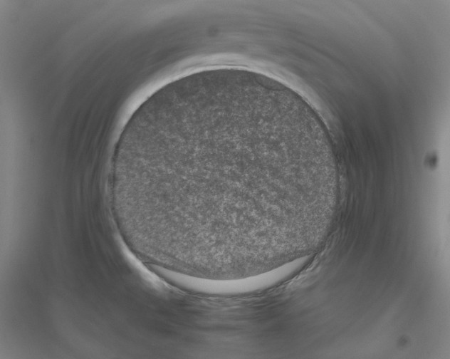 X0000116761527201001281601