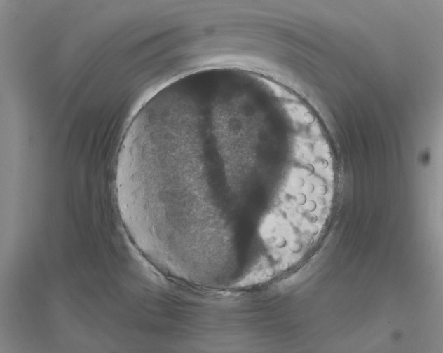 X0000116761529201001281601